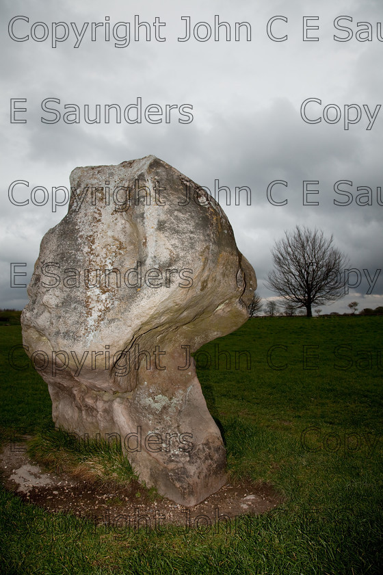 IMG 8770 
 Avebury stone 02 
 Keywords: Avebury,stone,rock,neolithic,prehistoric,Wiltshire,England,sandstone,sarsen stone