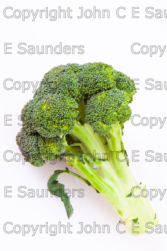 IMG 1871 
 Broccoli 
 Keywords: broccoli,vegetable,raw,food,ingredient,green,healthy,nutrition,isolated on white,food background,stem