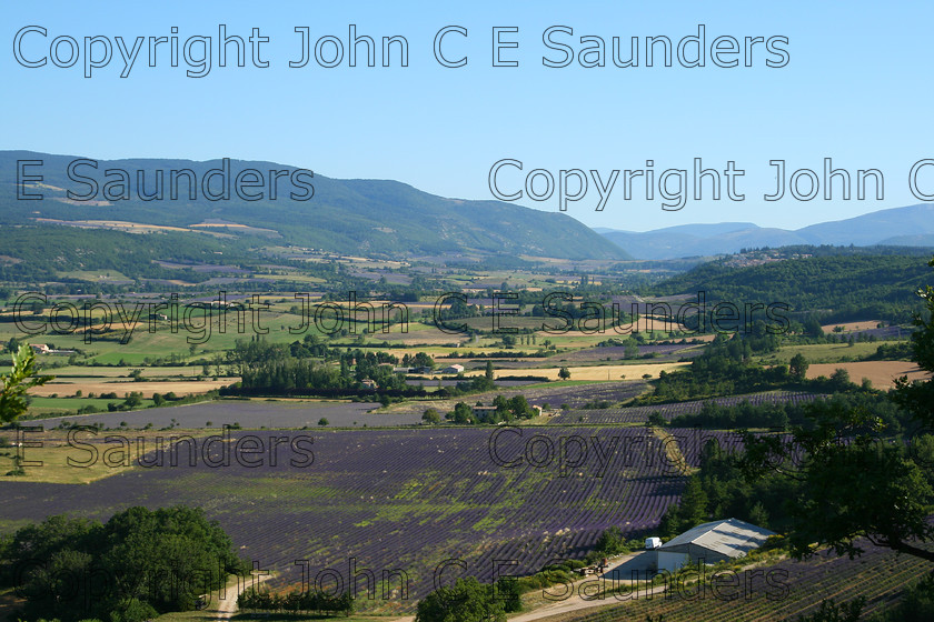 IMG 9282 
 Lavender 08 
 Keywords: France,landscape,fields,countryside,rural