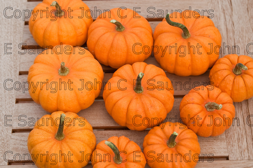 IMG 0399 
 Group of small pumpkins 
 Keywords: pumpkins,orange,small,vegetables,fruits,several,round,spherical,fresh,ripe,harvested,plenty,halloween,autumn