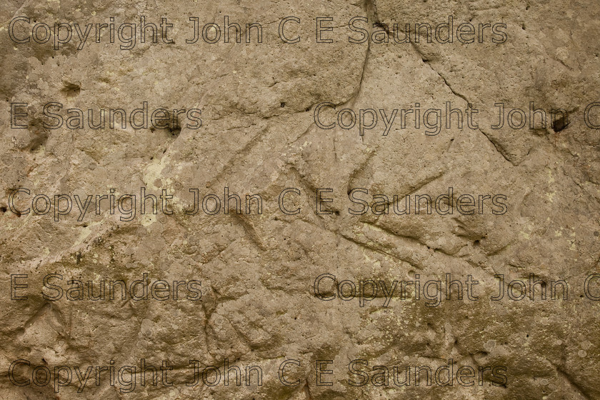 IMG 8665 
 Rock surface 
 Keywords: Avebury,stone,rock,neolithic,prehistoric,Wiltshire,England,sandstone,sarsen stone,background,texture