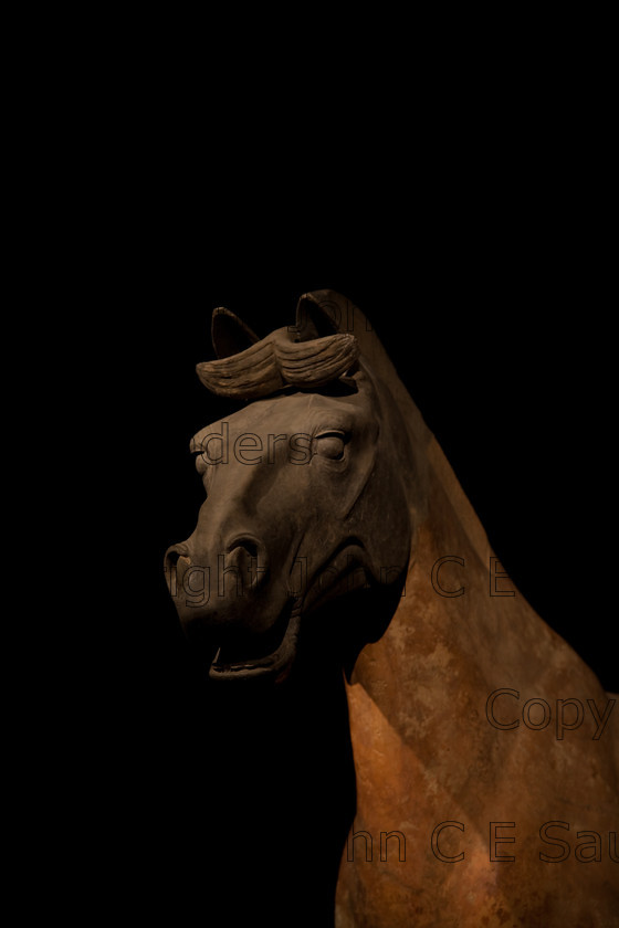 IMG 2723 
 Ancient clay horse statue from Chinese Qin dynasty (221-206 BCE) 
 Keywords: Qin, ancient, art, brown, chinese, clay, culture, dark, dynasty, head, history, horse, sculpture, shadows, statue, terracotta