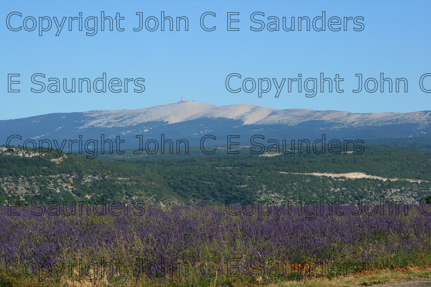 IMG 9280 
 Lavender 09 
 Keywords: landscape,hills,lavender,countryside,rural