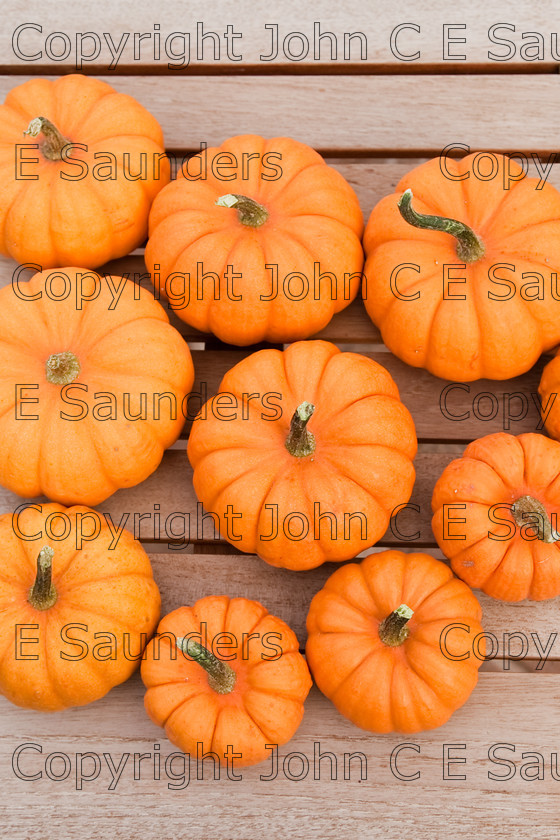 IMG 0397 
 Pumpkins on table 
 Keywords: pumpkins,orange,small,vegetables,fruits,several,round,spherical,fresh,ripe,harvested,plenty,halloween,autumn