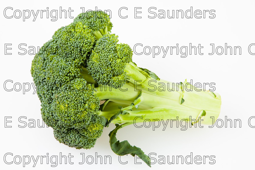 IMG 1864 
 Broccoli 
 Keywords: broccoli,vegetable,raw,food,ingredient,green,healthy,nutrition,isolated on white,food background,stem